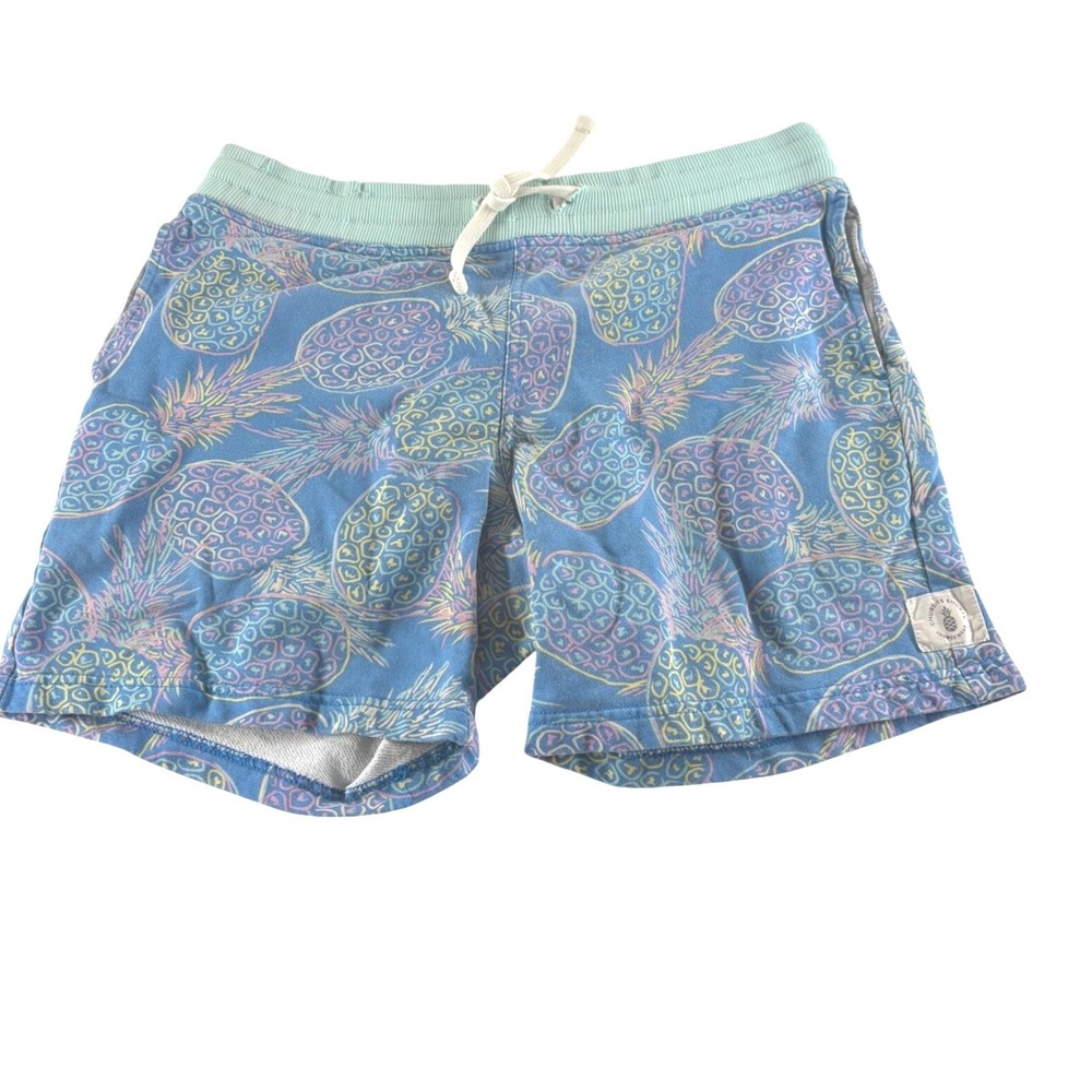 Chubbies Mens Pineapple Print Lounge Shorts Blue 7 Inch Inseam Small Cotton